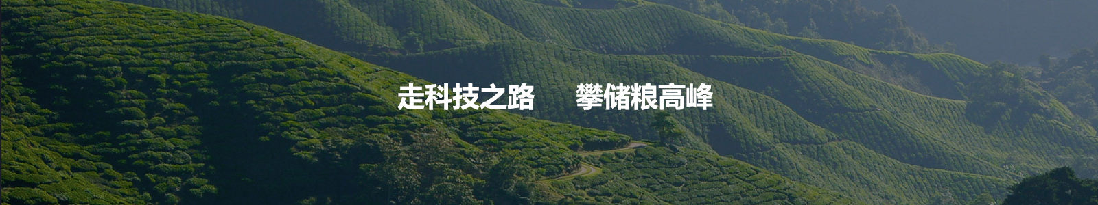 廣告一
